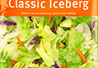 Salad Classic Iceberg